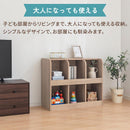 2段収納ラック