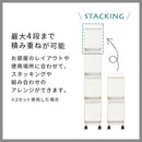 分別ダストボックス〔1列タイプ〕 ゴミ箱 ダストボックス おしゃれ 分別 分別ゴミ箱 分別ダストボックス インテリア 家具 北欧風 ぼん家具