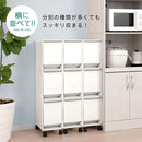 分別ダストボックス〔1列タイプ〕 ゴミ箱 ダストボックス おしゃれ 分別 分別ゴミ箱 分別ダストボックス インテリア 家具 北欧風 ぼん家具