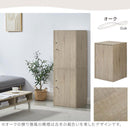 鍵付き カラーボックス 2段 小型 ロッカー