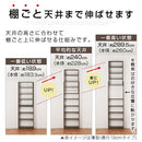 つっぱり式壁面収納ラック 本体〔深型〕幅60cm×奥行19cm 本棚 突っ張り式 9段 可動棚  壁面収納 大容量 収納棚 ブックシェルフ 地震対策 A4 ぼん家具