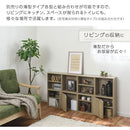 キューブボックス収納〔幅35cm・薄型〕 カラーボックス キューブボックス 収納ボックス 棚 2段 収納棚 扉付き 薄型 スリム 木製 おしゃれ 北欧 棚付き 収納 正方形 35cm 積み重ね ミニ ぼん家具