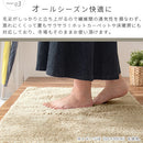 玄関マット〔45×65cm〕 玄関マット 室内 45×65 洗える マット 玄関 滑り止め 屋内マット おしゃれ シャギーラグ 丸洗い 無地 室内用 長方形 かわいい ミニ絨毯 ラグマット 北欧 ぼん家具