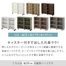 押入れ収納ボックス〔幅20cm〕